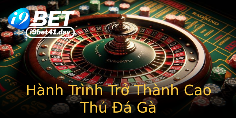 Hành Trình Trở Thành Cao Thủ Đá Gà