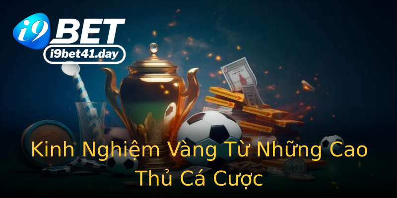 Kinh Nghiệm Vàng Từ Những Cao Thủ Cá Cược