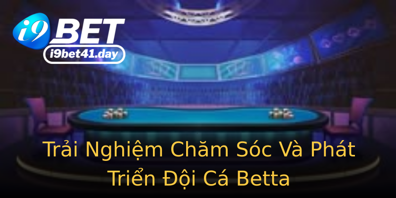 Trải Nghiệm Chăm Sóc Và Phát Triển Đội Cá Betta